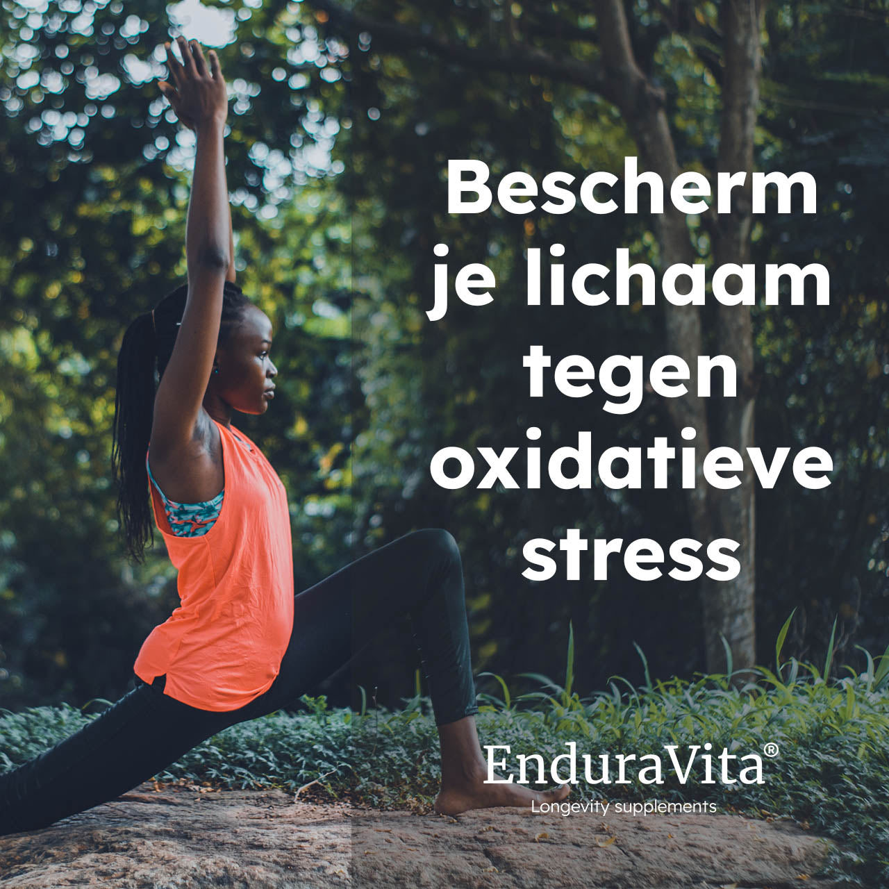 Resveratrol kapsülleri 250mg