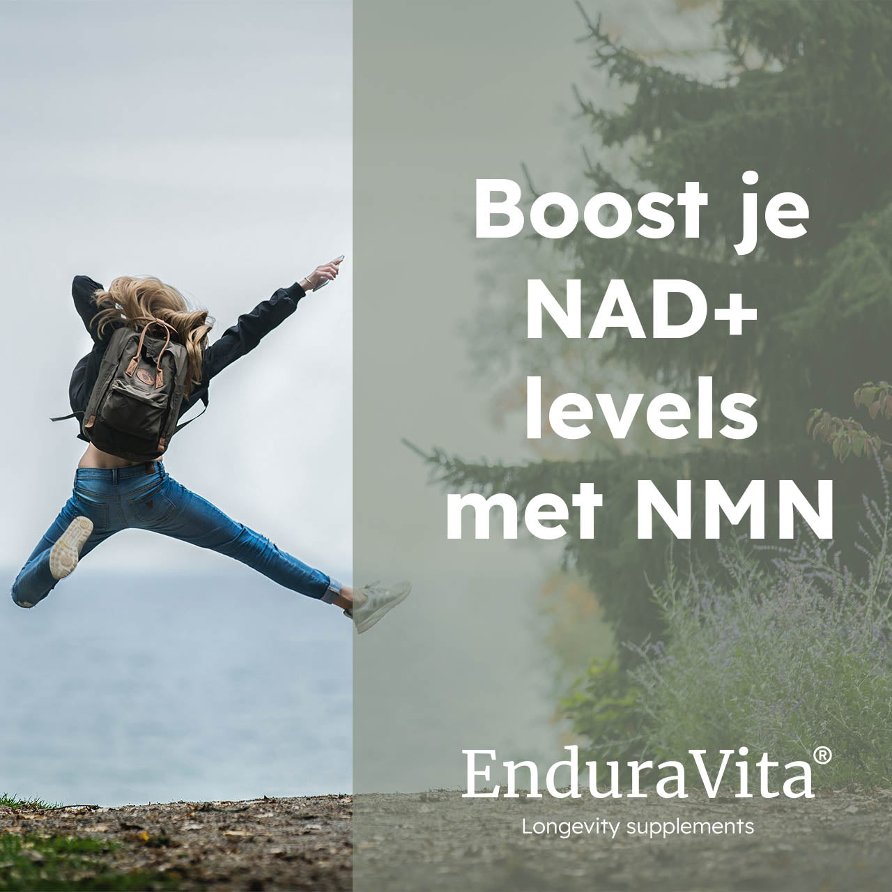 NMN 60x250mg - 99.8% purity