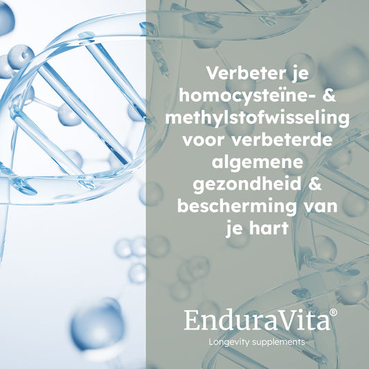 TMG kapsüller 500mg